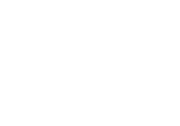 renault logo