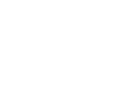 ud-trucks logo